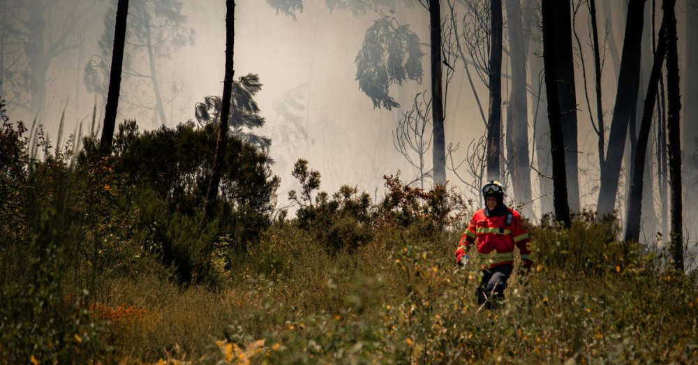 A bushfire being handled by firemen exhibiting bushfire safety tips